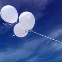 海的彼岸，尽头