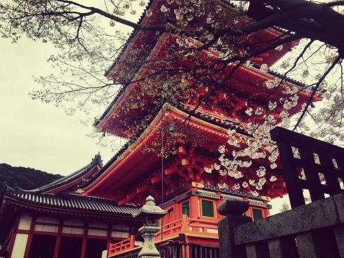 花谢花开花满楼